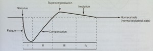 supercompensatie-homeostase-curve